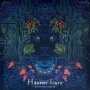 Huarmi Icaro