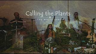 Calling the plants (The White Arrow live jam session)